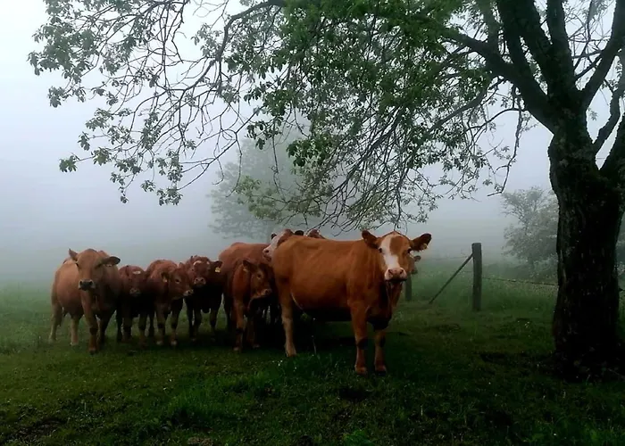 Ferienwohnungen Schmitt In Ehrenberg