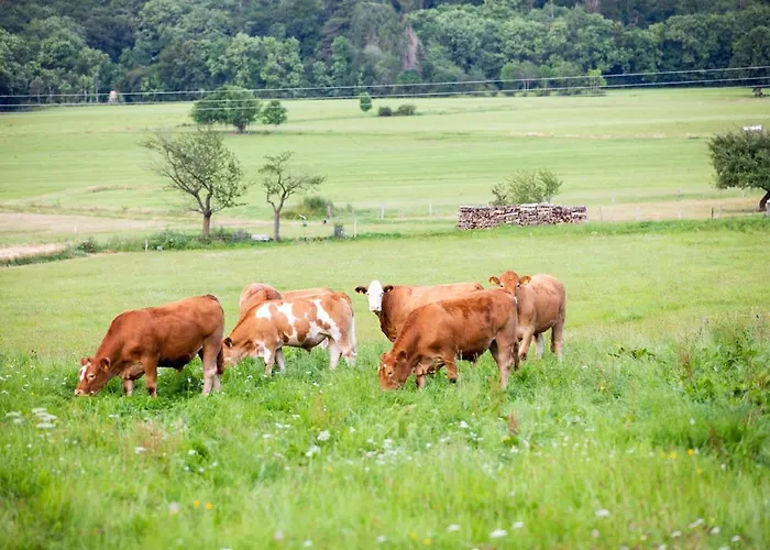 Ferienwohnungen Schmitt In Ehrenberg